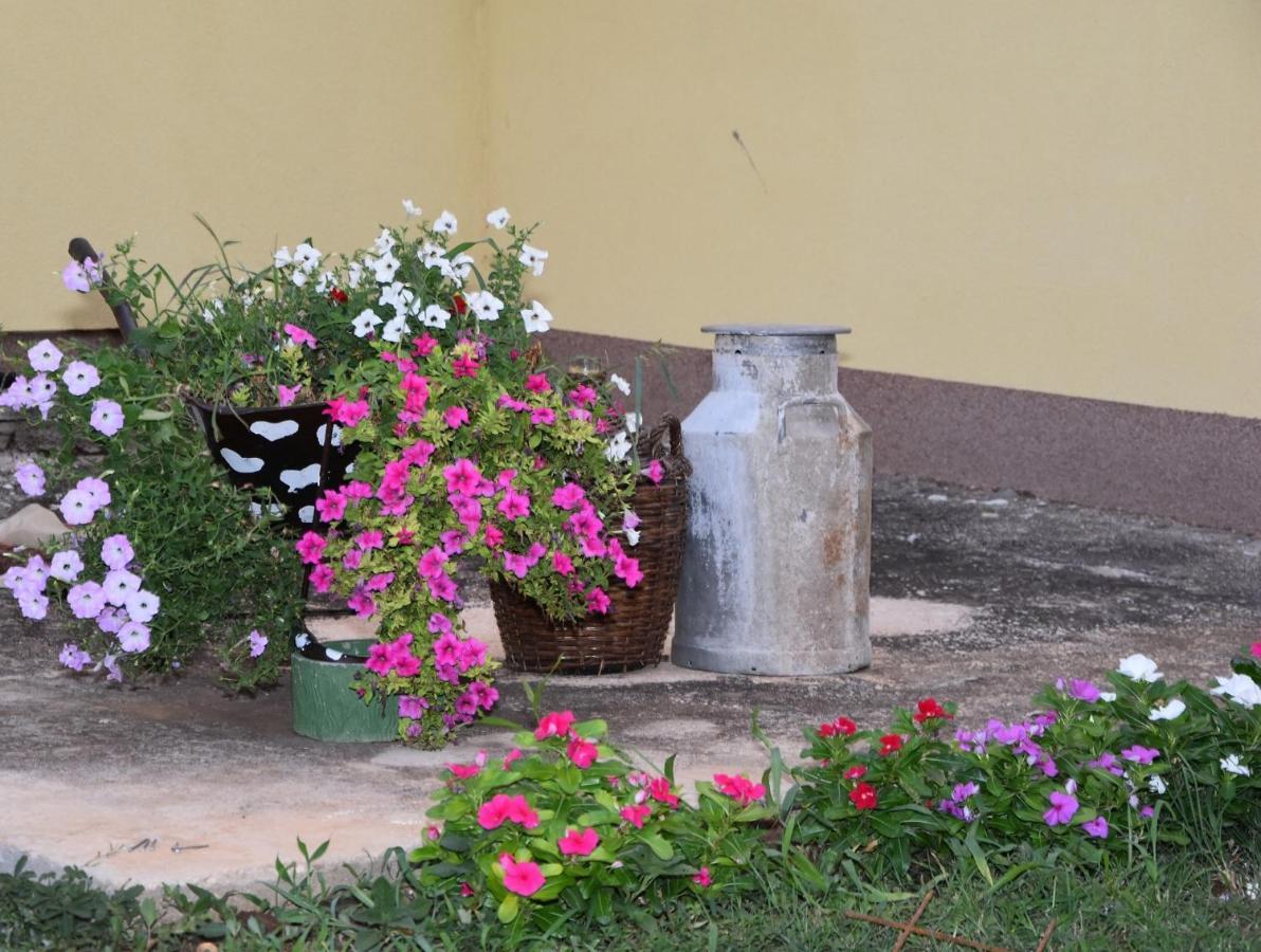 Villa Kutija Sveti Filip i Jakov Extérieur photo